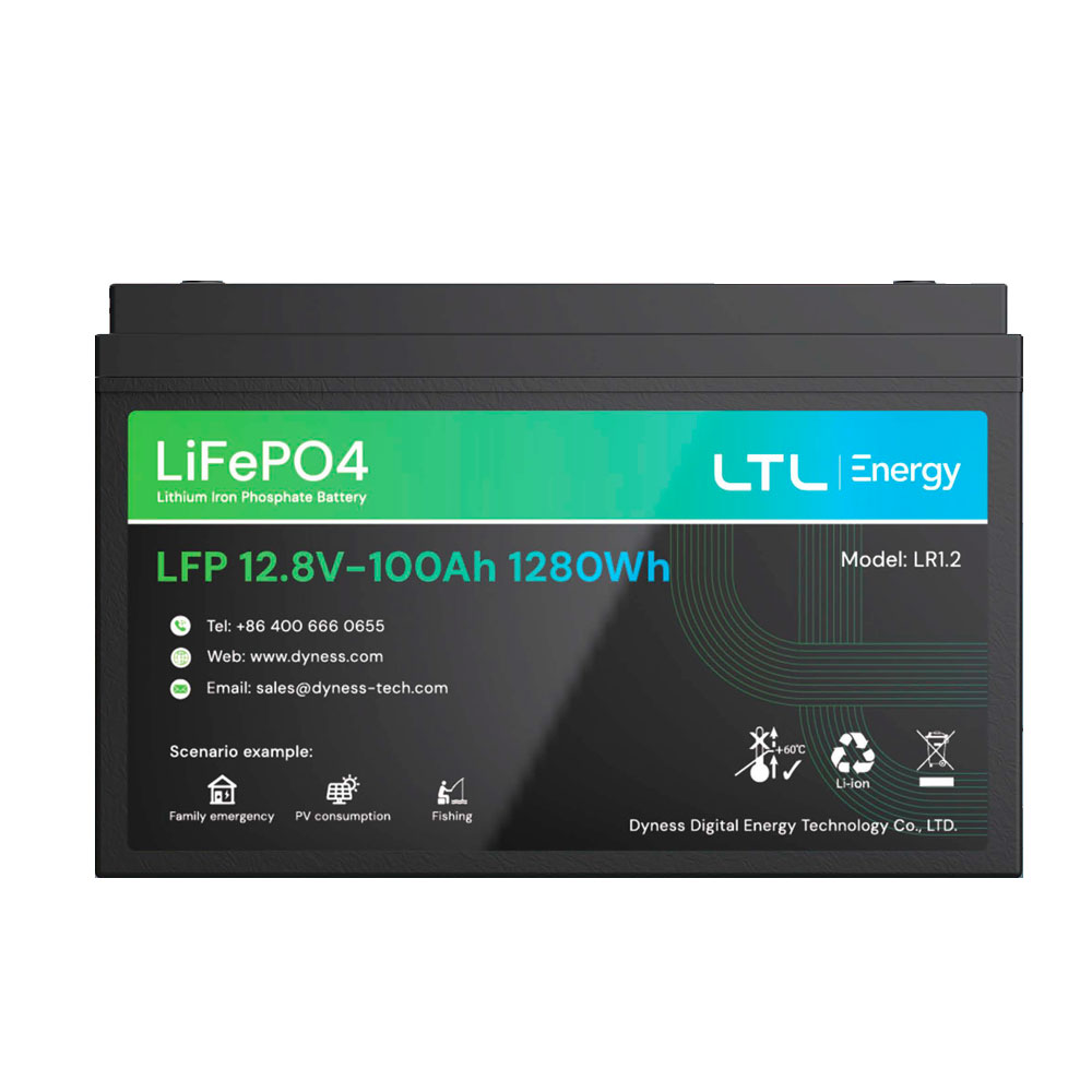 Акумуляторна батарея LiFePO4 Dyness LR1.2, 12.8V/100Аh (1,28kWh), 10,5kg, 330х172х214mm