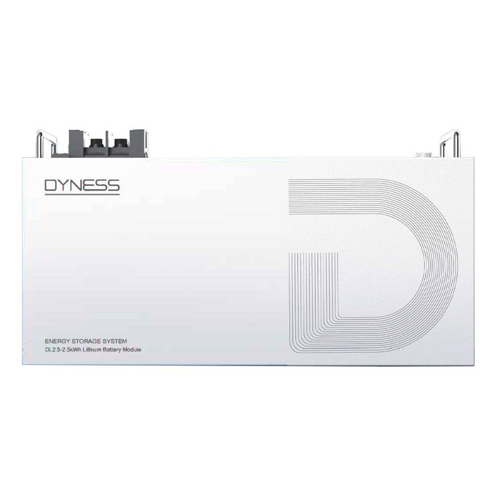 Акумуляторна батарея LiFePO4 Dyness DL 2.5, 25.6V/100Аh (2,56kWh), 23kg, 481х221х133mm