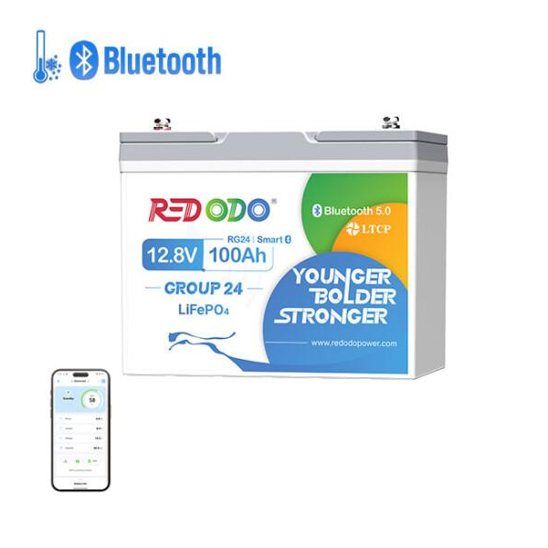 Акумуляторна батарея LiFePO4 Redodo 12.8V 100Ah, 1280Wh, BMS 100A, Group24 BT, Bluetooth, ≥4000 циклів, 260*168*210мм, 9.92kg